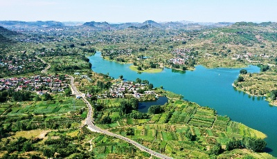 领航中国•调研山东看变化⑧丨乡村振兴结出累累硕果