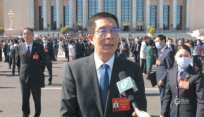 代表连线 | 张连钢：“我们的自动化码头就是中国式现代化的体现”