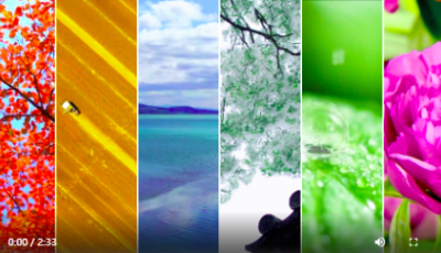 别眨眼！“多彩”山东好品让你刮目相看