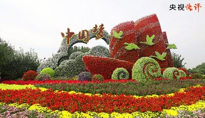 必须永远吹冲锋号