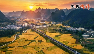 【央视快评】在党的旗帜下团结成“一块坚硬的钢铁”