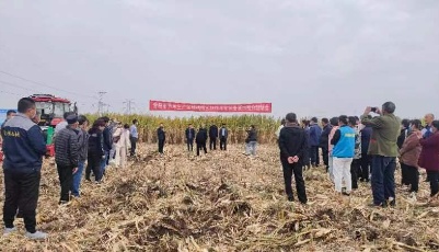 筑牢稳粮保供基础 青岛主要粮食作物生产全程机械化率达99%