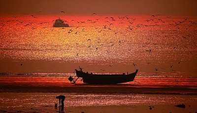 青春之岛，与自然共生 