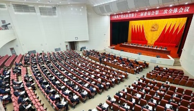 中共山东省委十二届二次全体会议举行