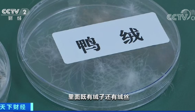 @所有消费者！新国标落地，今年买羽绒服，注意这一点