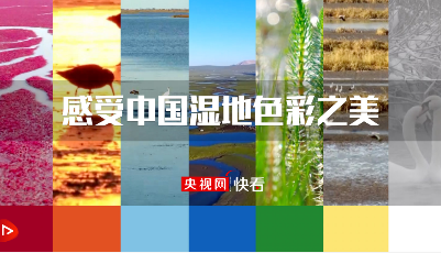 感受中国湿地色彩之美