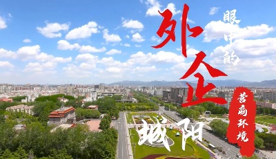 “城”心携企•共“营”未来 | 企业家话营商环境之外企篇