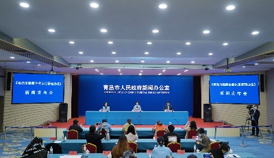 培育壮大优质中小企业群体 青岛市雏鹰企业认定管理办法发布