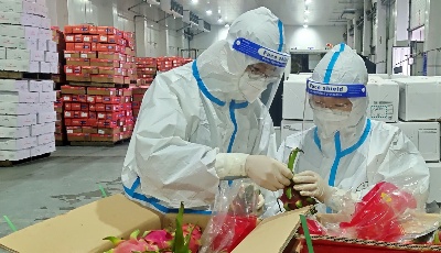 泰国水果抵青只需7天！前10个月青岛口岸进口泰国水果增长超4成