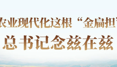 时习之 农业现代化这根“金扁担” 总书记念兹在兹