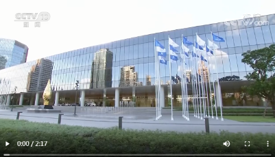 习近平继续出席亚太经合组织第二十九次领导人非正式会议