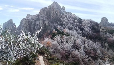 一場(chǎng)降溫讓?shí)魃骄皡^(qū)初現(xiàn)“樹(shù)掛”