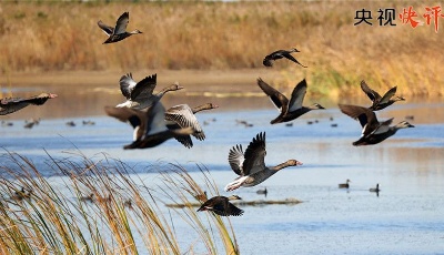 谱写全球湿地保护新篇章