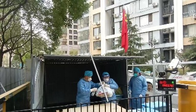 临时支部党旗红  青岛市运输中心志愿者齐心筑牢战疫防线