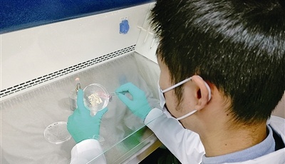 兩周內(nèi)即可將一些塑料降解為碎片！可以“吃”塑料的海洋微生物在青發(fā)現(xiàn)