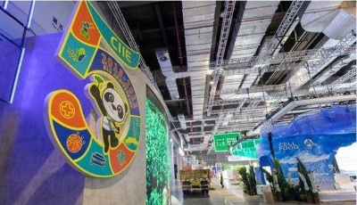 第五届进博会将如期举办，哪些看点值得期待？