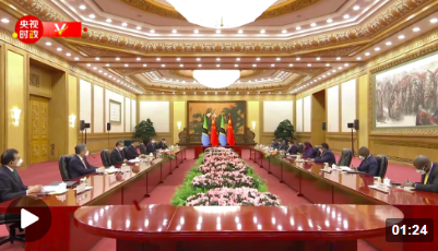 独家视频丨习近平同坦桑尼亚总统举行会谈