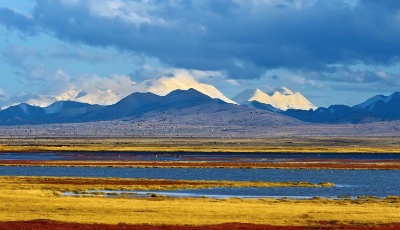 新华全媒+｜在水一方 大美湿地