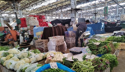  全链条稳价保供，青岛市商务系统托稳市民“菜篮子”