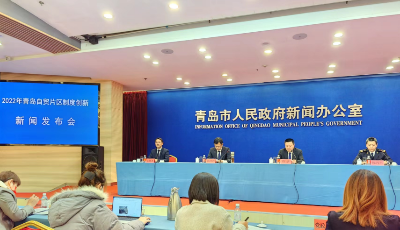 38项高质量创新成果发布！青岛自贸片区制度创新多点开花