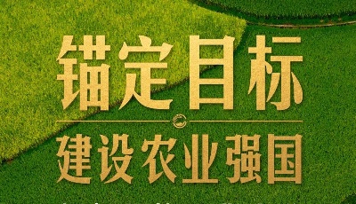 时政新闻眼丨在中央农村工作会议上，习近平这样部署建设农业强国