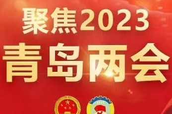 青岛市人民代表大会常务委员会公告（第5号）