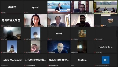 云游魅力青島 感知農機文化 ! 八國學員線上開啟漢語橋冬令營