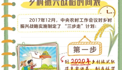 二十大报告学习笔记丨乡村振兴篇