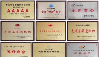 青岛市温州商会：“商会+党组织”的紧密结合     