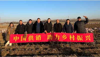 青岛市供销合作社市级农资经营服务平台在西海岸新区成立