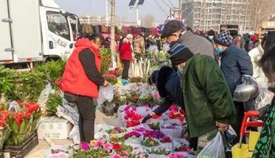 山东省启动“黄河大集”春节季活动