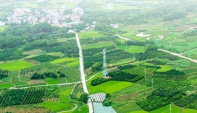 时习之 | 今年以来，习近平这样关切农业现代化发展