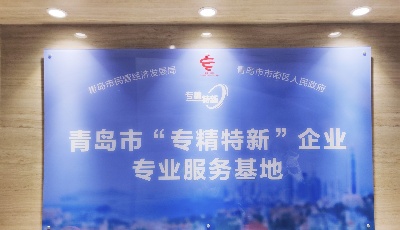 青島市首個(gè)“專精特新”企業(yè)專業(yè)服務(wù)基地在市南區(qū)揭牌啟用 