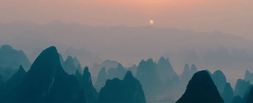 微视频丨共建万物和谐的美丽家园