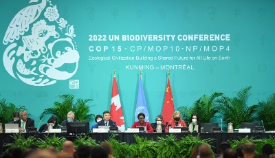 毅行大道天地阔——新征程上的中国将为人类发展进步作出更大贡献