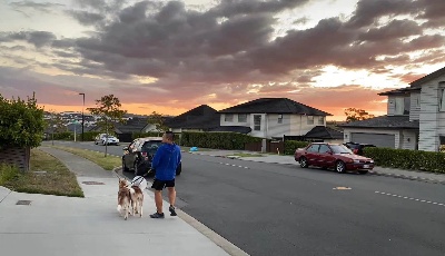 中国有序恢复出境游，亚太国家翘首以待“老朋友”回归