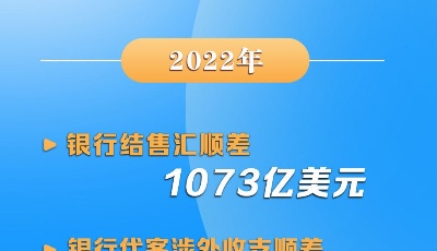 双顺差！我国外汇市场供求基本平衡