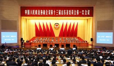 山东省政协十三届一次会议举行全体会议进行大会发言