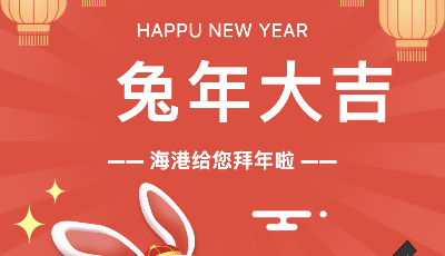 新春走基层 | 瑞兔逛海港！“元宇宙”拜年视频来啦