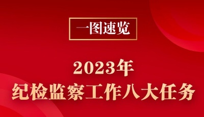 一图速览 | 2023年纪检监察工作八大任务  