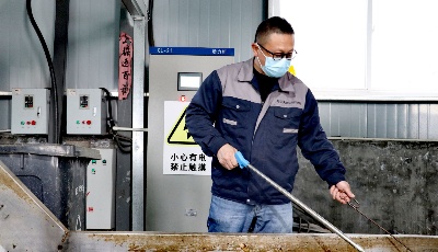 全省推广！青岛城阳蔬菜批发市场果蔬垃圾处理中心做法入选厨余垃圾资源化利用典型案例