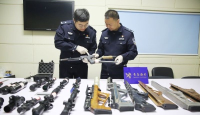 青岛海关2022年立案侦办走私犯罪案件252起