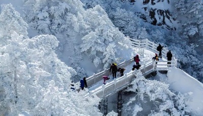 旅游企业业务全线复苏：上调业绩目标，“只要给机会，一定能一跃而起”