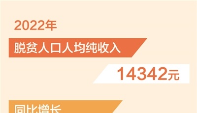 2022年脱贫人口人均纯收入同比增14.3%