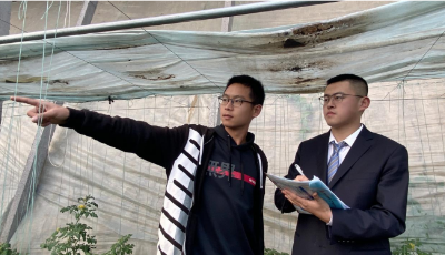 金融烟火气：青岛农商银行的 “近”与“亲”