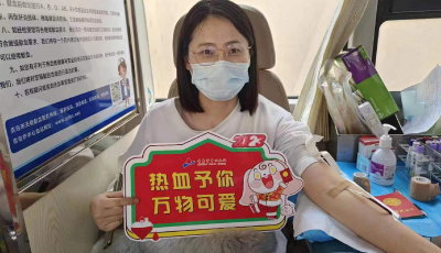 青岛市北区卫生健康系统开展无偿献血活动