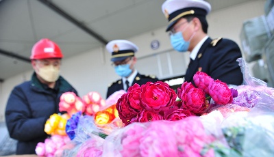 上合示范区到发中欧班列“开门红”