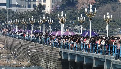 现场： 青岛旅游市场开启“狂飙”模式