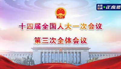 十四届全国人大一次会议第三次全体会议