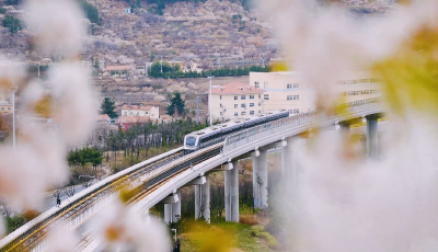 地铁助力，来一场“轨道上的青岛游”